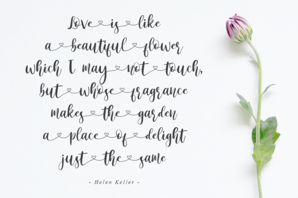 Paris Helen Font PNG with transparent background - Preview 2