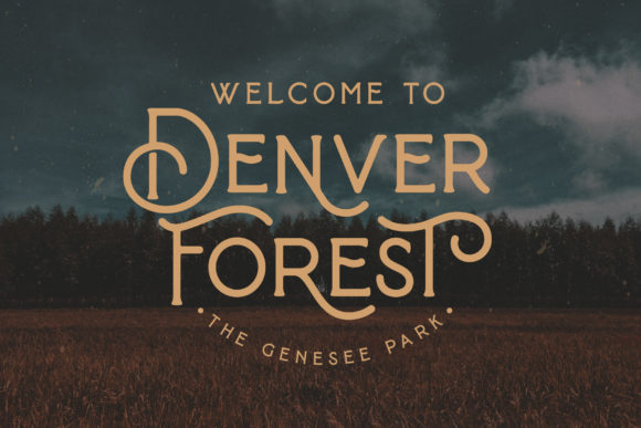 Baroneys Font - Preview 3