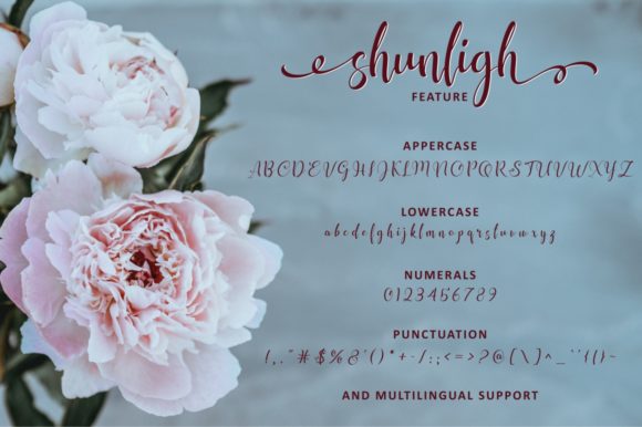 Shunligh Font PNG with transparent background - Preview 4