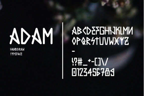 Adam Font - Preview 2
