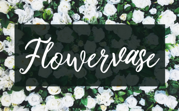 Brissham Font - Preview 3