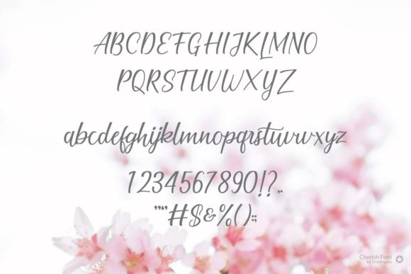 Cherish Font - Preview 6