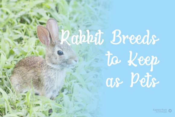 Eastery Font - Preview 2