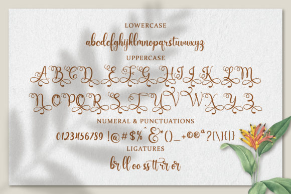 Floristya Font PNG with transparent background - Preview 2