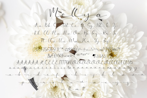 Mellya Font PNG with transparent background - Preview 4