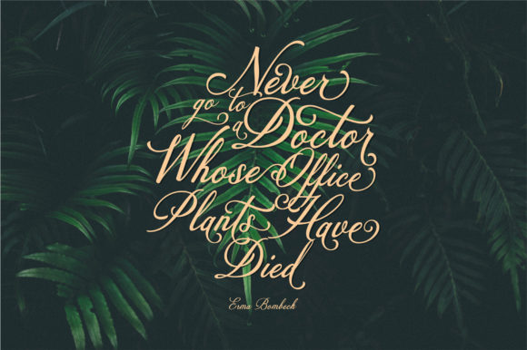Colesberg Font PNG with transparent background - Preview 2