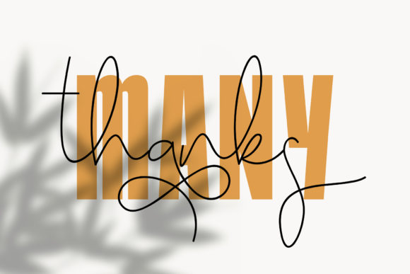 Honey Bunney Font PNG with transparent background - Preview 1