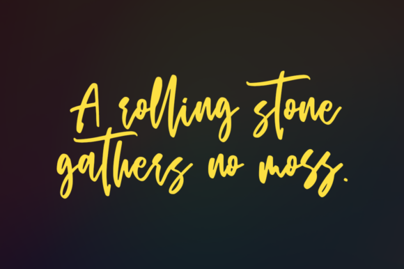 Brigantine Font - Preview 6