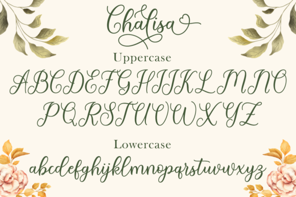 Chalisa Font - Preview 4