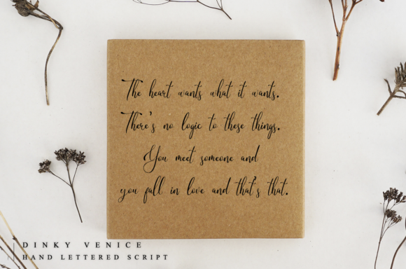 Dinky Venice Font PNG with transparent background - Preview 4