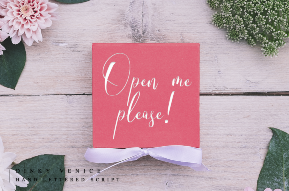Dinky Venice Font PNG with transparent background - Preview 5