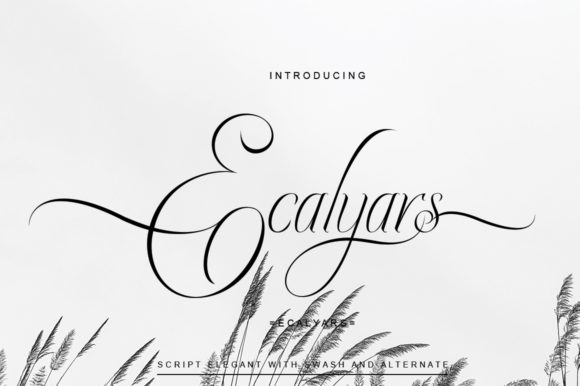 Ecalyars Font - Preview 1