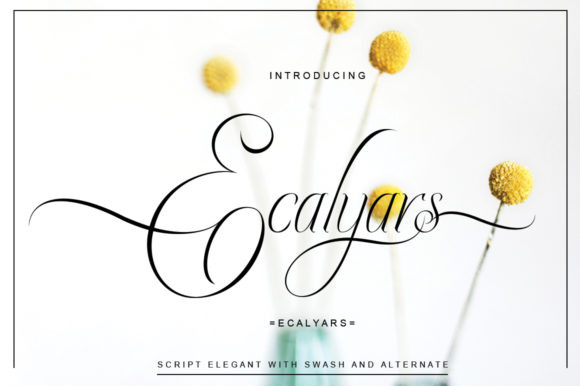 Ecalyars Font - Preview 2