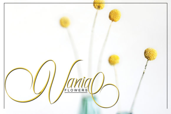 Ecalyars Font - Preview 4