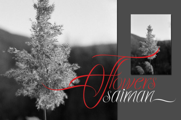 Ecalyars Font - Preview 5