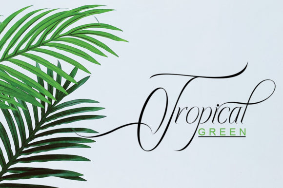 Ecalyars Font - Preview 6