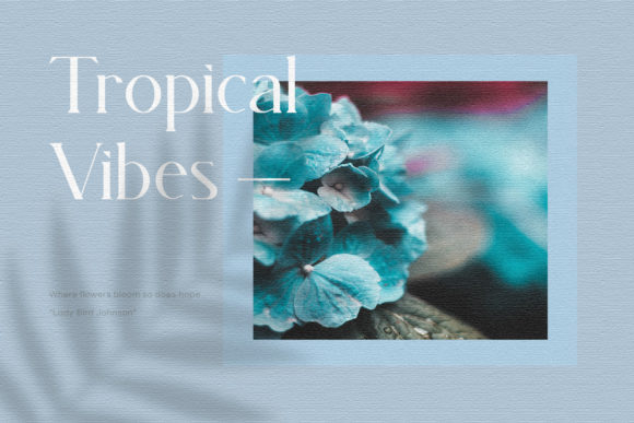 Magnita Font PNG with transparent background - Preview 1