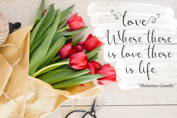 Sallea Font font preview - 3