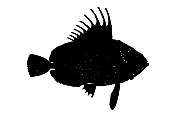 Shadow Fish Clip Art Graphic Crafts By Huntype