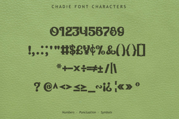 Chadie Font - Preview 6