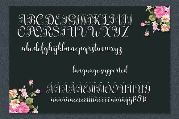 Annissa Font - Preview 6
