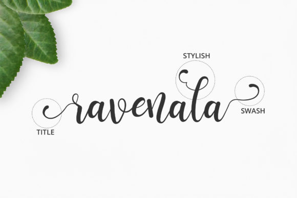 Ravenala Font PNG with transparent background - Preview 1