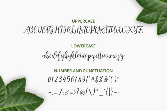 Ravenala Font PNG with transparent background - Preview 2