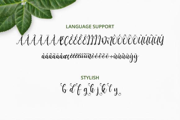 Ravenala Font PNG with transparent background - Preview 3