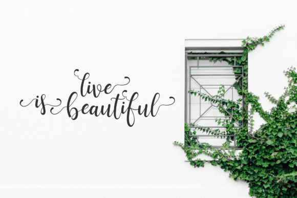 Ravenala Font PNG with transparent background - Preview 4