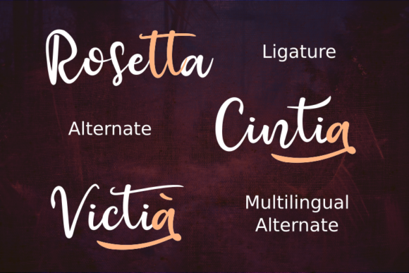 Raquen Font PNG with transparent background - Preview 4