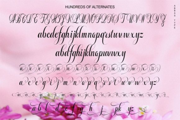 Bheiaga Font - Preview 5