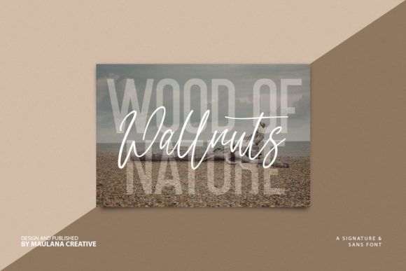 Dillandio Font - Preview 5