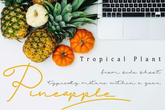 Fruitty Font - Preview 1