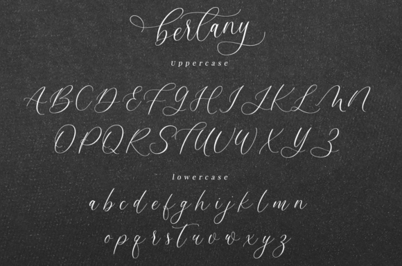 Bertany Font - Preview 5