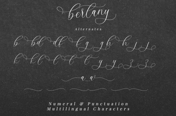 Bertany Font - Preview 6