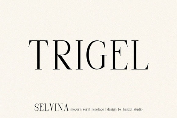 Selvina Font PNG with transparent background - Preview 3