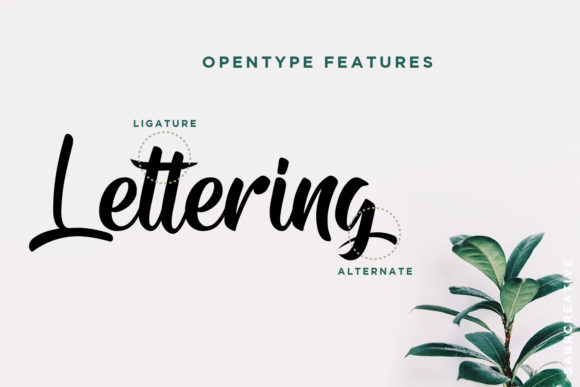 Andhibath Font - Preview 2