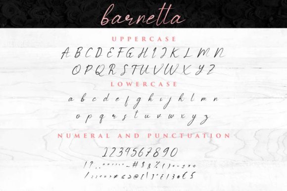 Barnetta Font - Preview 4