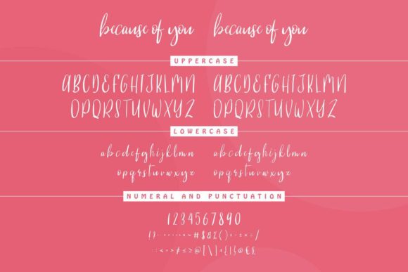 Because of You Font - Preview 4