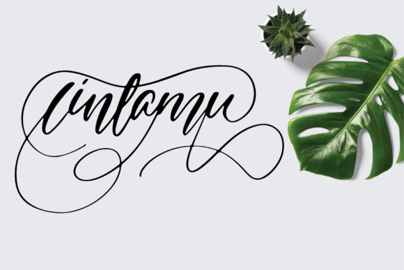Expose Font - Preview 1