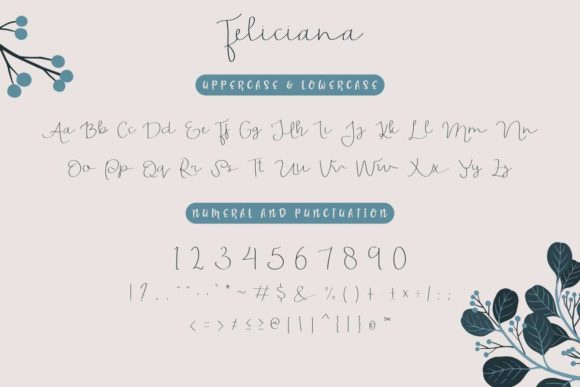 Feliciana Font - Preview 4