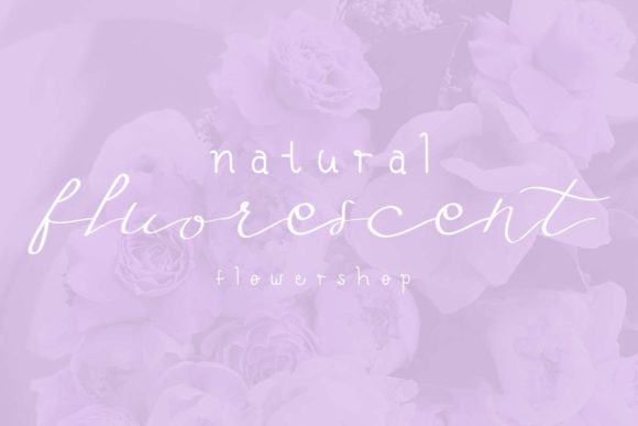 Fly Feather Duo Font - Preview 2