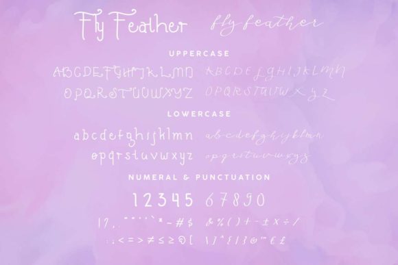 Fly Feather Duo Font - Preview 4