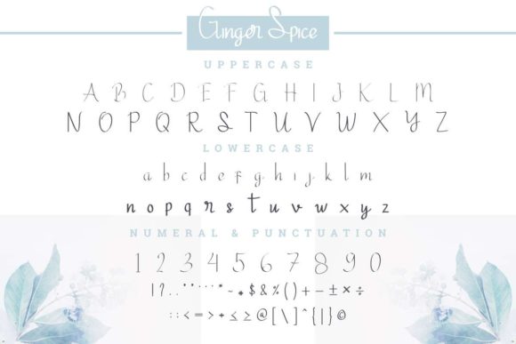 Ginger Spice Font PNG with transparent background - Preview 3