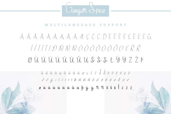 Ginger Spice Font PNG with transparent background - Preview 6