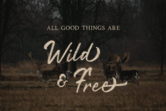 Rustyne Font PNG with transparent background - Preview 2