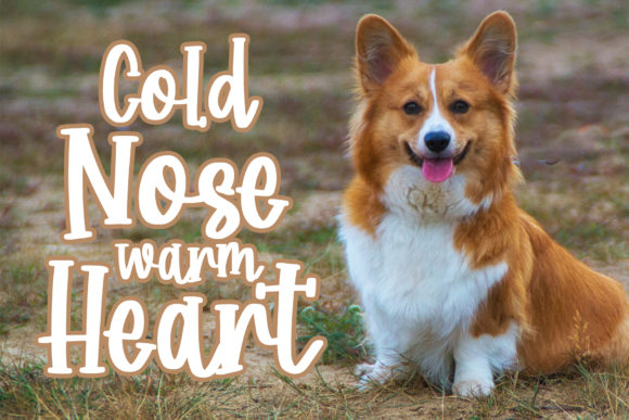 Corgy Puppy Font - Preview 1
