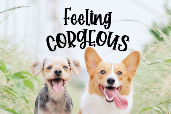 Corgy Puppy Font - Preview 2