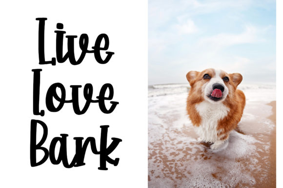Corgy Puppy Font - Preview 3