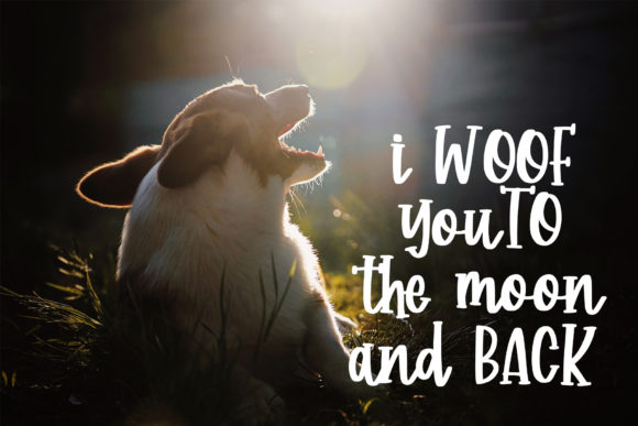 Corgy Puppy Font - Preview 4